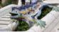 800px-Reptil_Parc_Guell_Barcelona_wikicommons.jpg